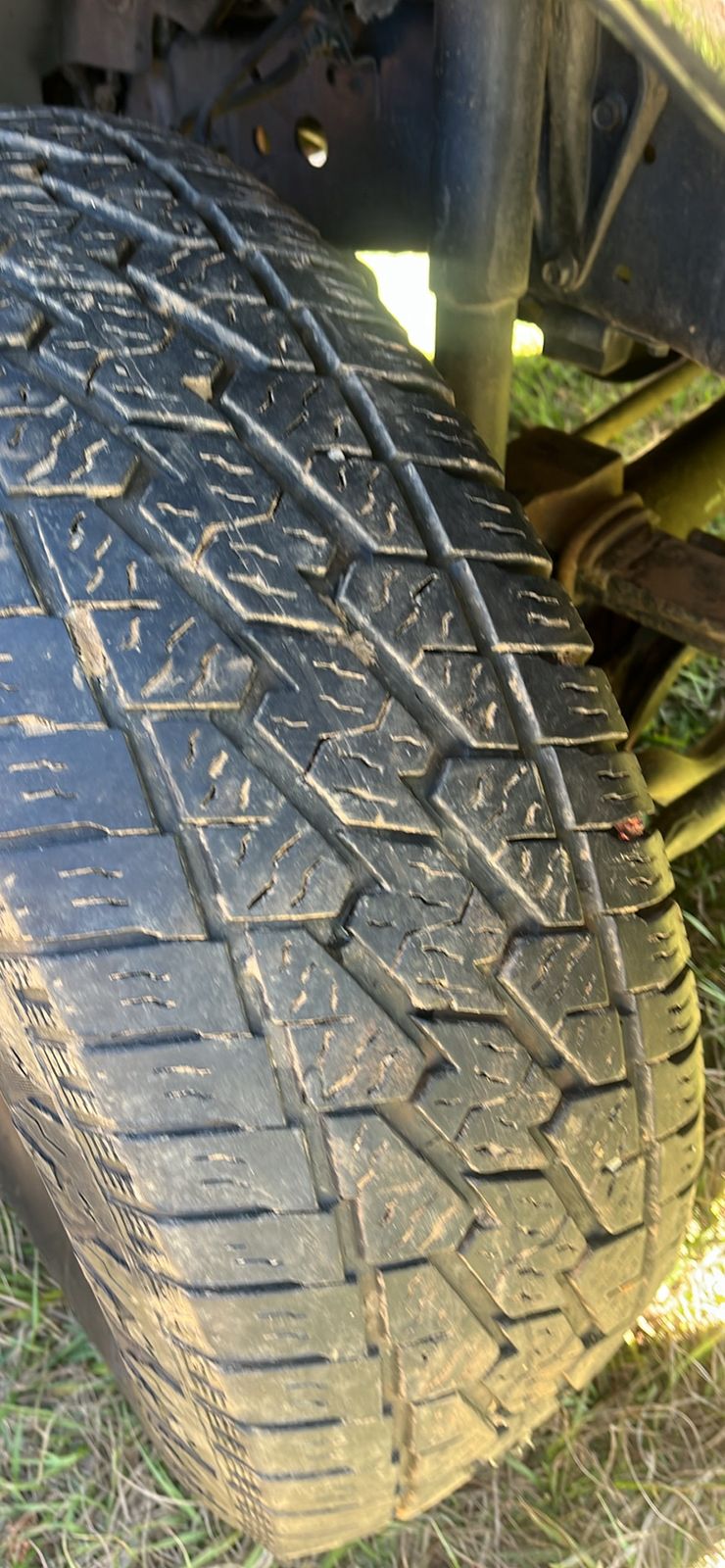 WhatsApp Image 2025-11-18 at 14.28.04 (2).jpeg